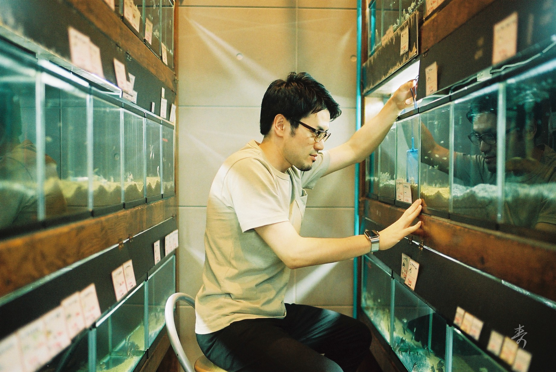 Speak Sea Breeze - Image 10