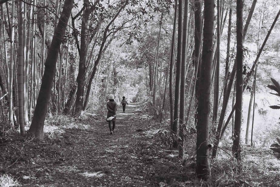 Spring2017 - Image 16