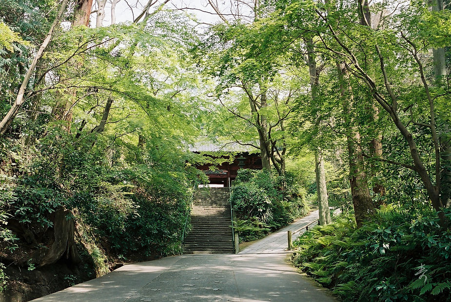 Spring2017 - Image 34