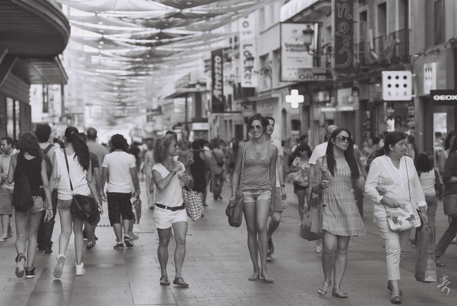 Volver Al Paraiso - Image 4