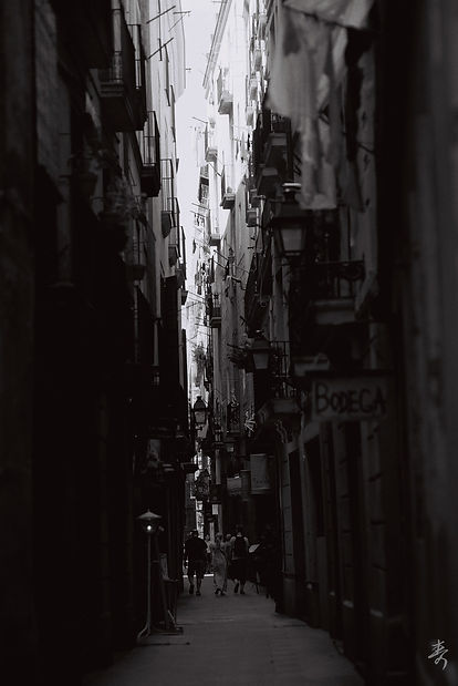 Volver Al Paraiso - Image 15