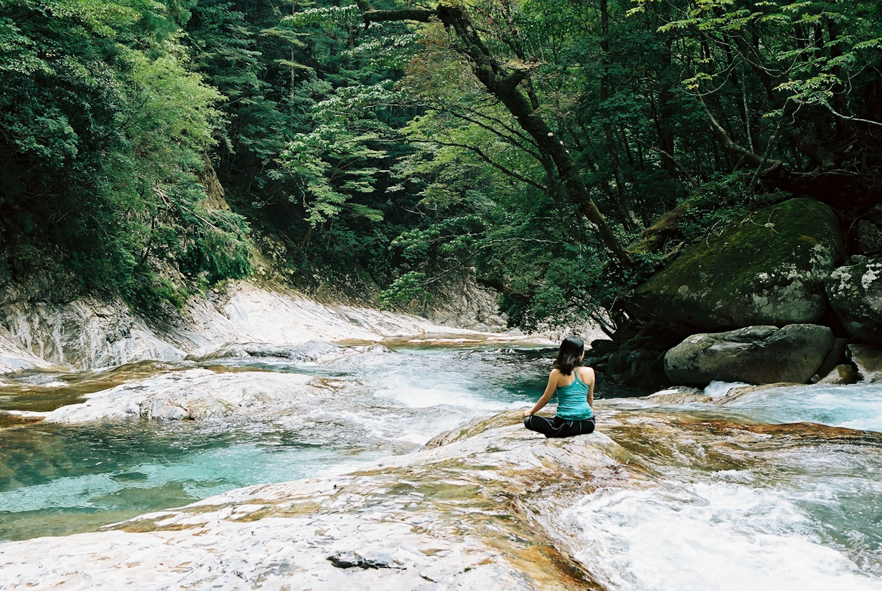 Zenki Blue - Image 6