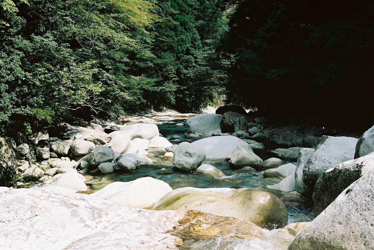 Zenki Blue - Image 7