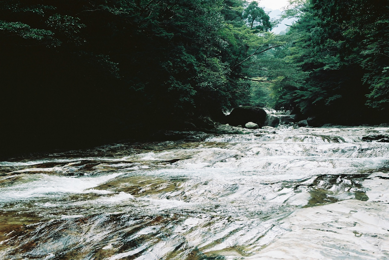 Zenki Blue - Image 8